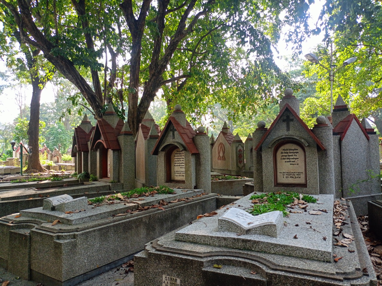 IMG20250603134412 Large